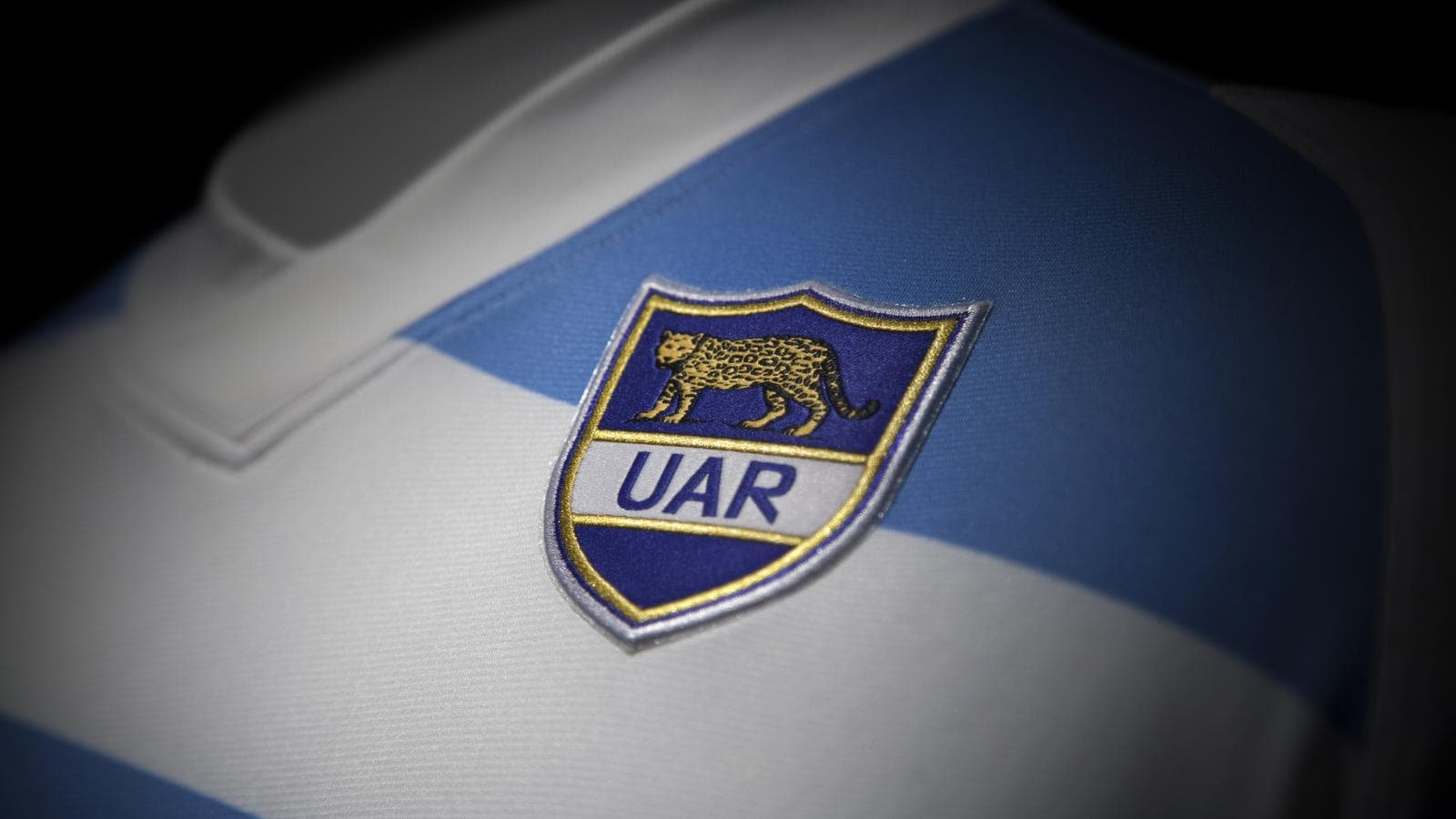 Pumas Seleccion de rugby escudo
