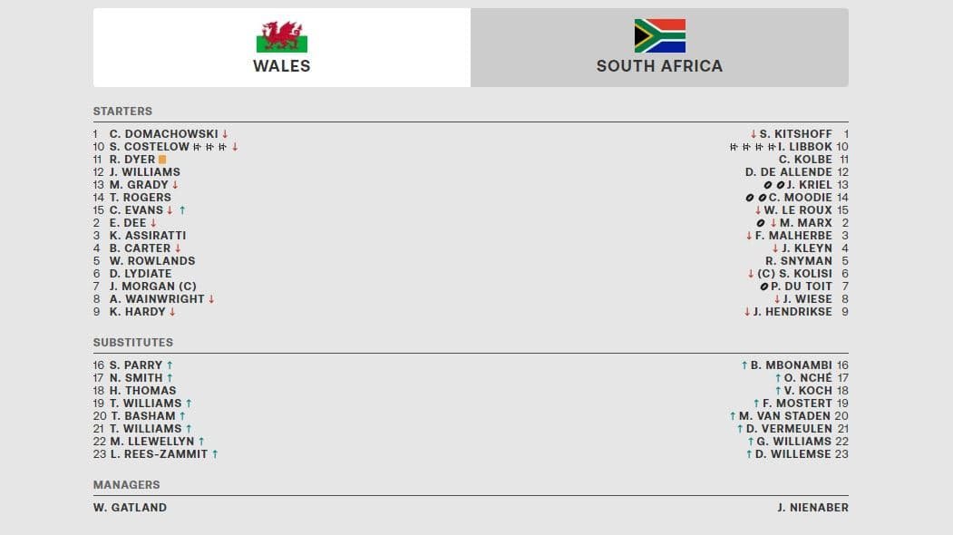 Gales vs Sudafrica
